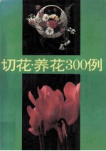 切花·养花300例