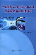 产业集群支撑下的中小企业区域品牌演进机理研究