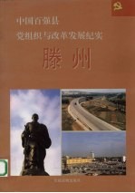 中国百强县党组织与改革发展纪实  滕州分册