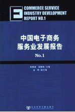 中国电子商务服务业发展报告  No.1