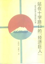 站在十字路口的“经济巨人”  成为经济大国后的日本