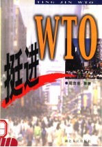 挺进WTO