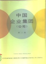 中国企业集团  公司  第2卷  汉英对照