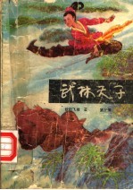 武林天子  第3册