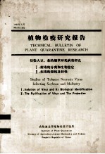 植物检疫研究报告  侵染大豆、桑的烟草坏死病毒研究