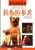 拉布拉多犬