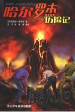 勇探火山口