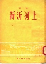 小说  新沂河上