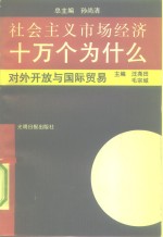 社会主义市场经济十万个为什么  对外开放与国际贸易分册