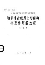 地表冲击波对土与结构相互作用的效应