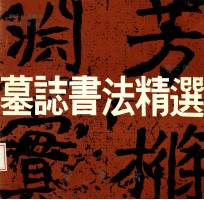 墓志书法精选  第7册  鲜于仲儿墓志、冯氏墓志