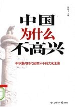 中国为什么不高兴  中华复兴时代知识分子的文化主张