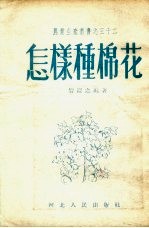 怎样种棉花