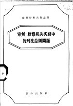 审判  检察机关实践中的刑法总则问题