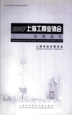 2007上海工商业协会发展报告