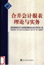 合并会计报表理论与实务