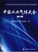 中国工业气体大全  第6册