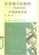 充满魅力的新野  形成中的中国金融市场