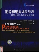 能源和电力风险管理模型、定价和保值的新发展