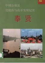 中国百强县党组织与改革发展纪实  奉贤分册