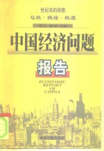 中国经济问题报告  世纪末的困惑  危机·挑战·机遇