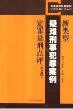 新类型疑难刑事犯罪案例定罪量刑点评  第2版