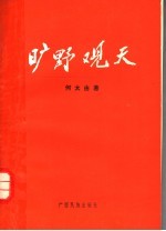 旷野观天  建设有中国特色的社会主义的探索与思考