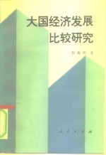 大国经济发展比较研究