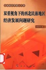 双重视角下的西北民族地区经济发展问题研究