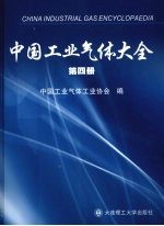 中国工业气体大全  第4册