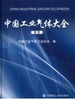 中国工业气体大全  第5册