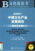 2009年中国文化产业发展报告