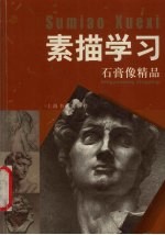 素描学习  石膏像精品