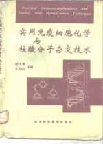 实用免疫细胞化学与核酸分子杂交技术