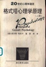 20世纪心理学通览格式塔心理学原理  上、下