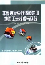 非整装复杂低渗透油田地面工艺技术与实践