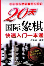 20天国际象棋快速入门一本通