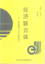 经济联合体  企业集团与企业发展研究