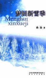 梦回新雪季