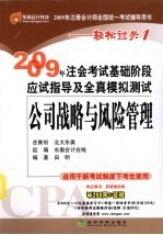 2009年CPA考试基础阶段应试指导及全真模拟测试  公司战略与风险管理（适用新考试办法）