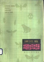 浙江省水稻害虫天敌图册