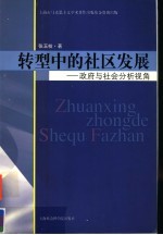 转型中的社区发展  政府与社会分析视角