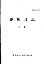 爱辉县志·社会