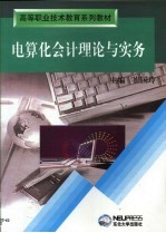 电算化会计理论与实务