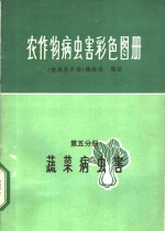 农作物病虫害彩色图册  第5分册  蔬菜病虫害