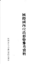 国际国内政治形势参考资料