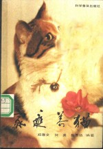 家庭养猫