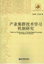 产业集群技术学习机制研究