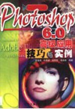 Photoshop 6.0高级应用技巧与实例