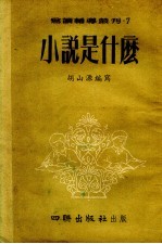 小说是什么